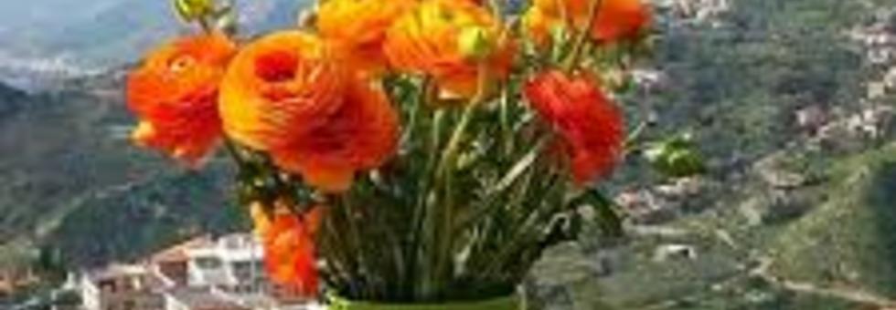 Primavera1