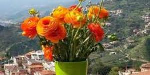 Primavera1