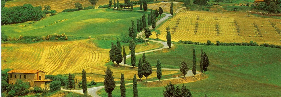 Colline del chianti 3