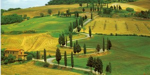Colline del chianti 3