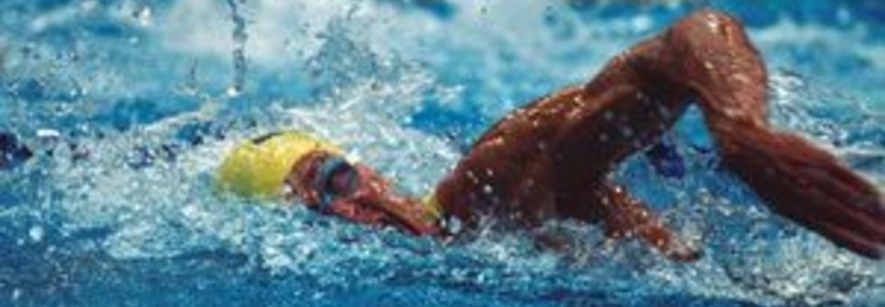 Nuotatore  nuoto 179629