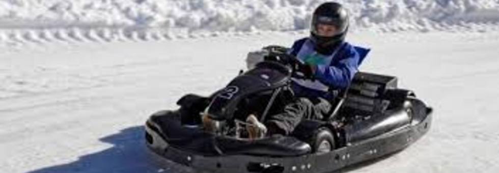 Go kart2