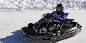 Go kart2