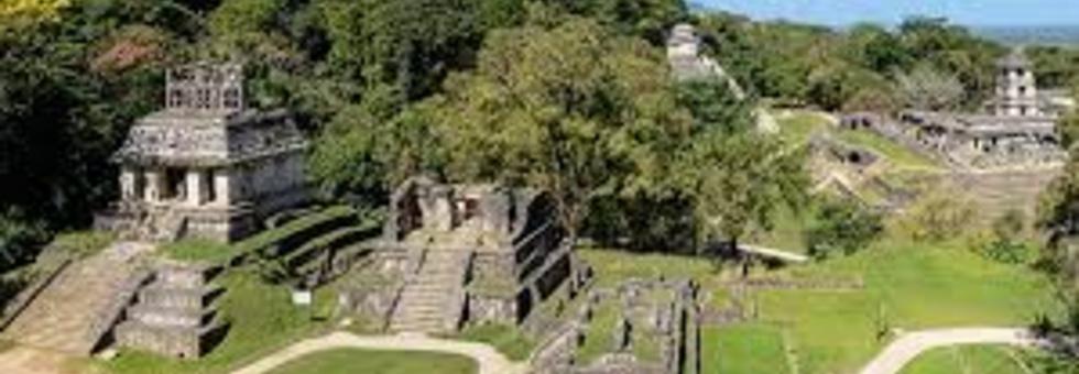 Maya