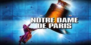 Notre dame de paris musical 2016 bari palaflorio