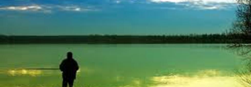 Pesca