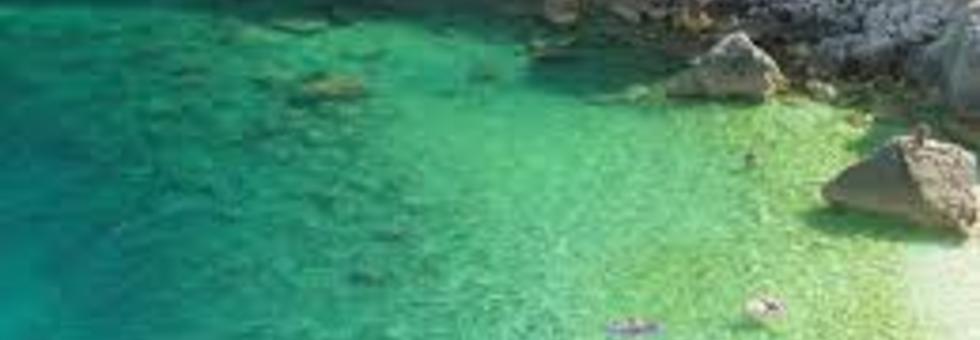 Cres1