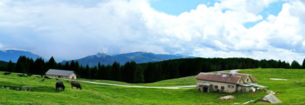 Malga mandrielle
