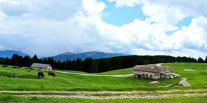 Malga mandrielle