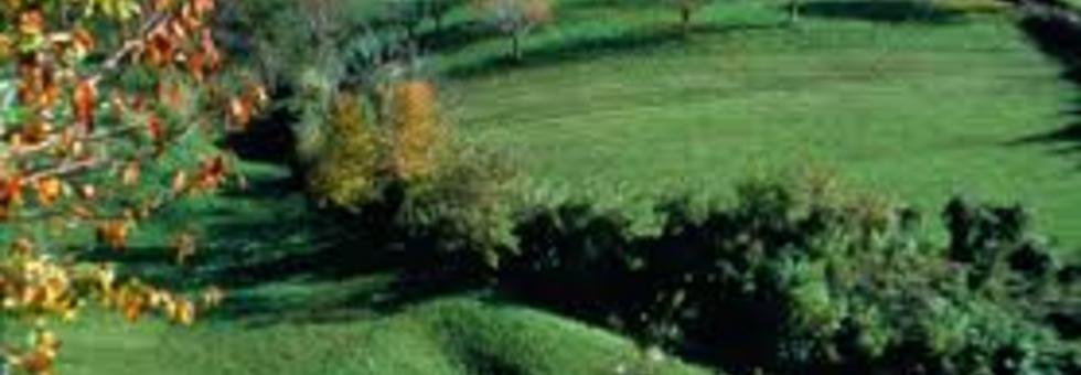 Bregonze1