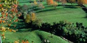 Bregonze1