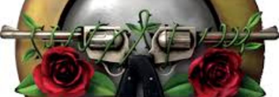 Gun