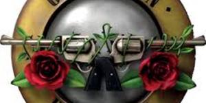 Gun