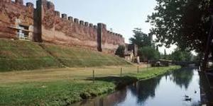 Treviso