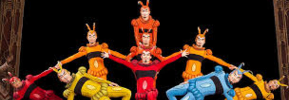 Cirque