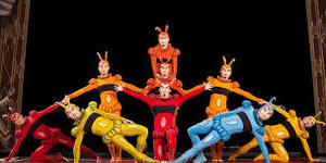 Cirque