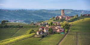 Langhe1