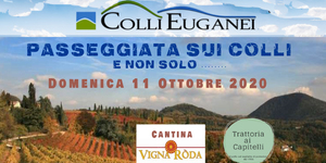 Testata colli sito