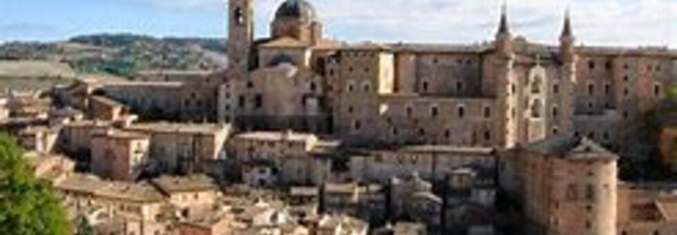 Urbino