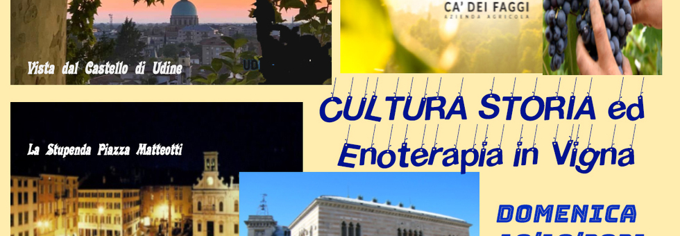 Cultura vigna