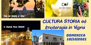 Cultura vigna