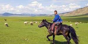 Mongolia