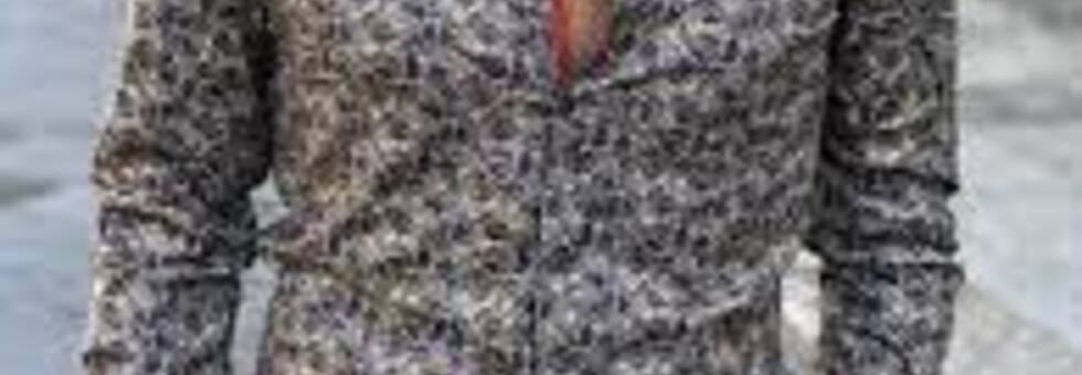 Camicie