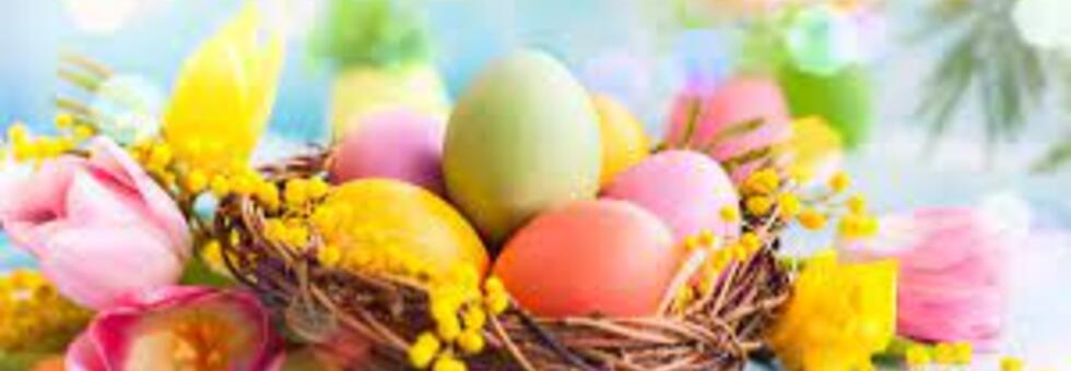 Pasqua