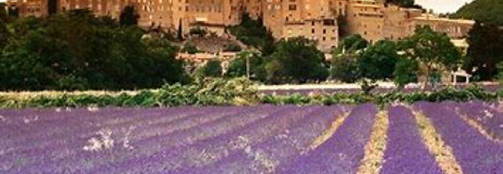 Provenza