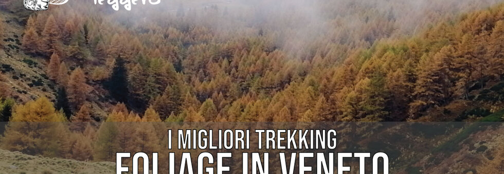 Migliori trekking foliage in veneto