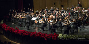 Concerto san silvestro vicenza