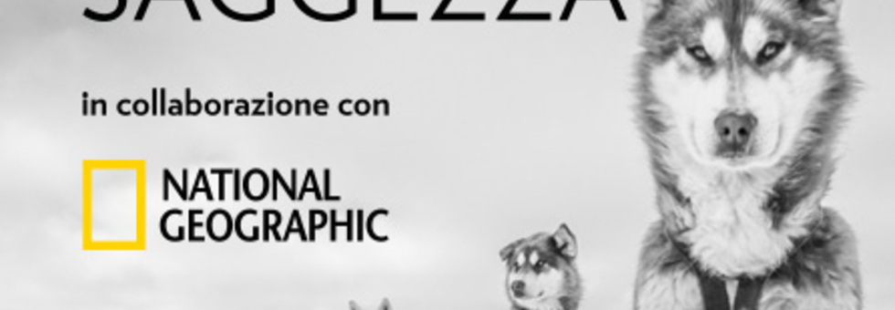 Hp slider mostre 446 l x 616 h