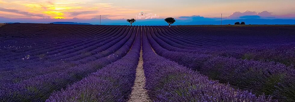 Routes de la lavande