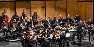 24 11 oto lonquich 500x408.370x302