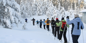 Ciaspolata di gruppo sulla neve