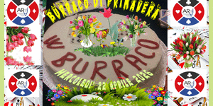 Burraco primavera sito
