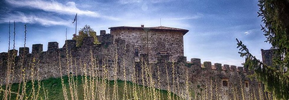 E6296f986f595a8ab18d9a8f6b12ba8e