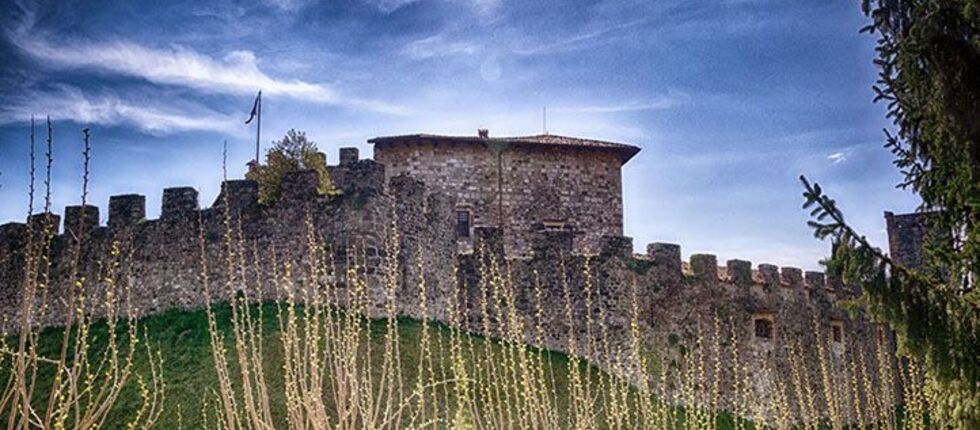 E6296f986f595a8ab18d9a8f6b12ba8e