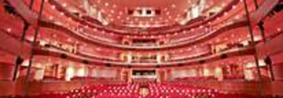 Teatro udine