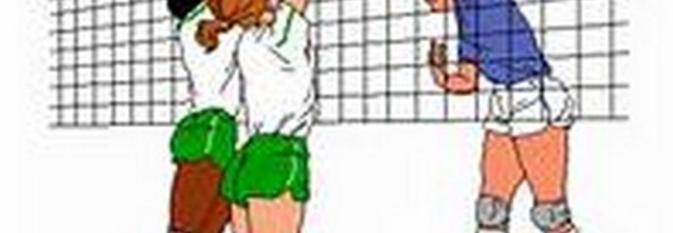 Volley