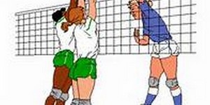 Volley