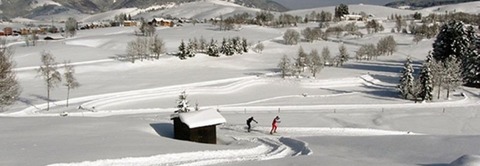 Piste champion.fw