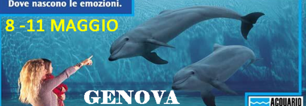 Acquario.fw