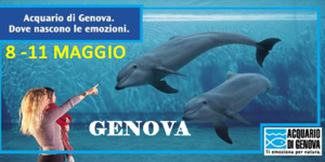 Acquario.fw