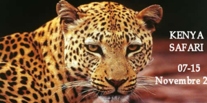 Safari1.fw