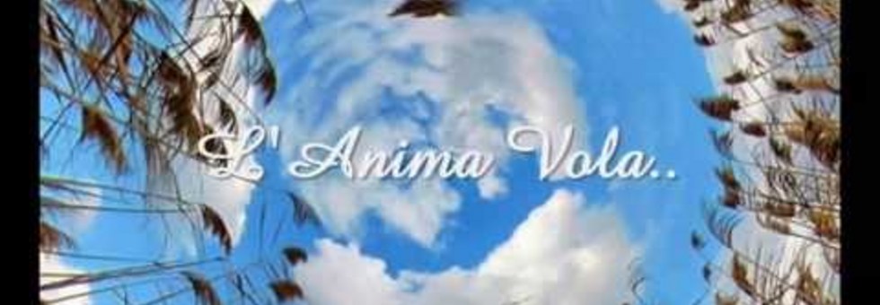 Lanima vola