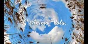 Lanima vola