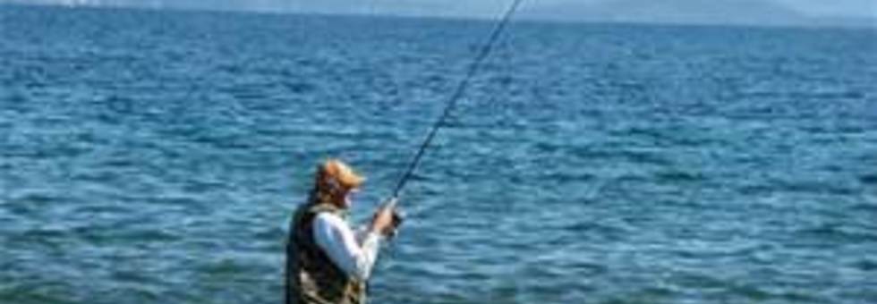 Pesca