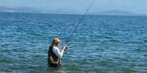 Pesca