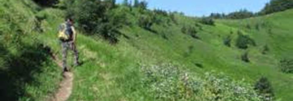 Monte cimone
